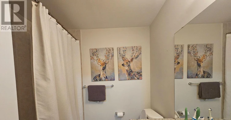 7767 White Pine Crescent, Niagara Falls, ON, L2H 3R4 - 13