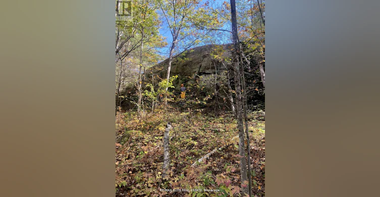 1322 Boomhauer Road, Central Frontenac, ON, K0H 1B0 - 13