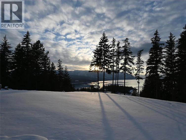 3401 Roncastle Road, Blind Bay, BC, V0E 1H1 - 95