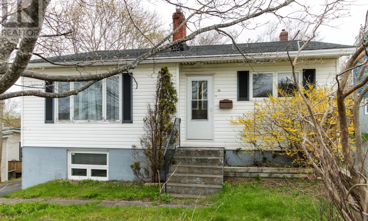 16 Polina Road