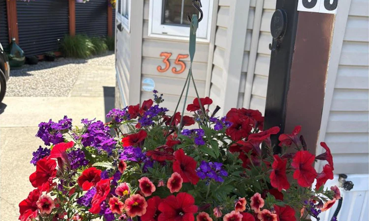 35 Lot 35-415 Commonwealth Road