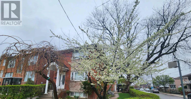 7 Cliff Street, Toronto, ON, M6N 4L5 - 3