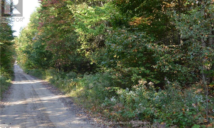 LOT-20 Concession 5 Road