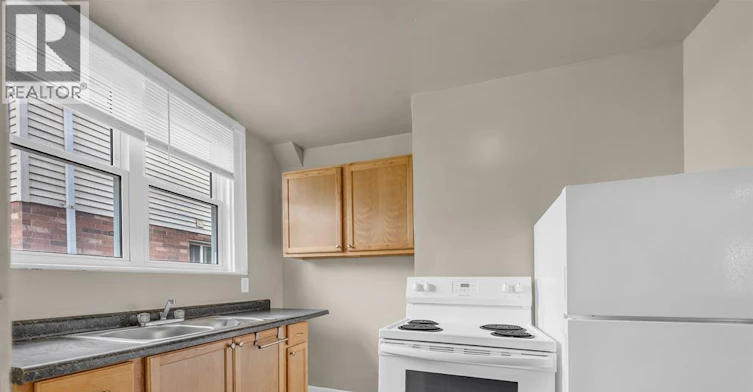 B LOWER-669 Park Street West, Windsor, ON, N9A 5V7 - 10