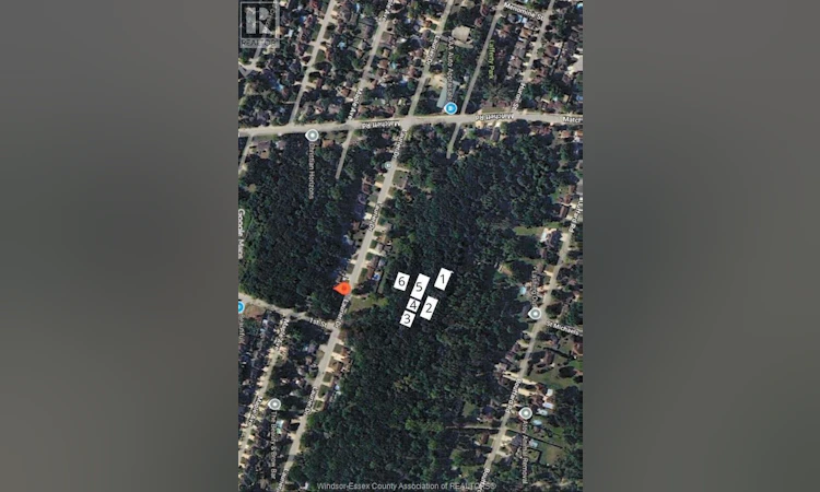S/S-V/L Lafferty Avenue