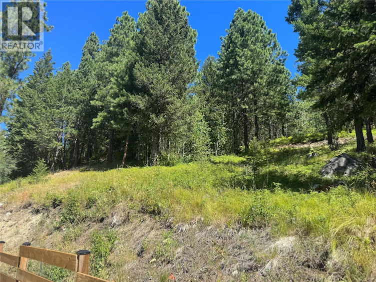 1020 Bullmoose Way, Osoyoos, BC, V0H 1V6 - 50