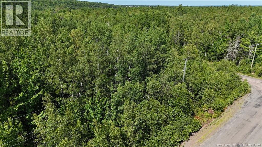 36 Lucas Street, Irishtown, NB, E1H 0E4