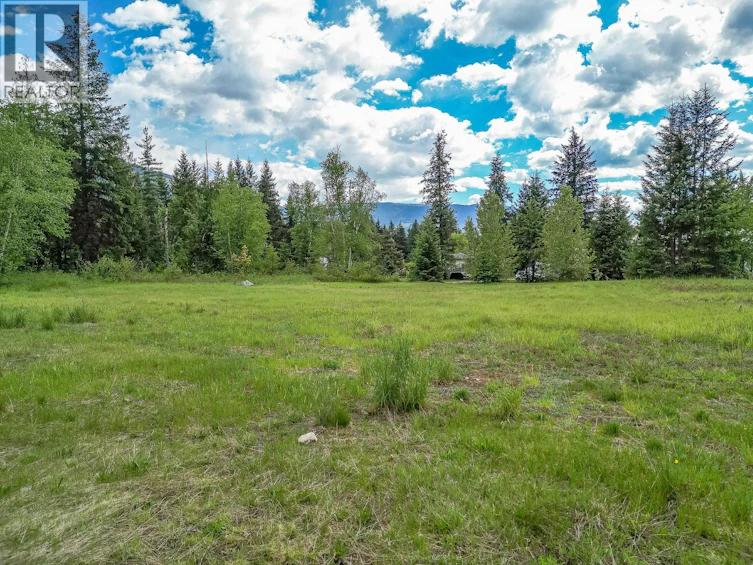 Lot-1 Malakwa Road, Malakwa, BC, V0E 2J0 - 21