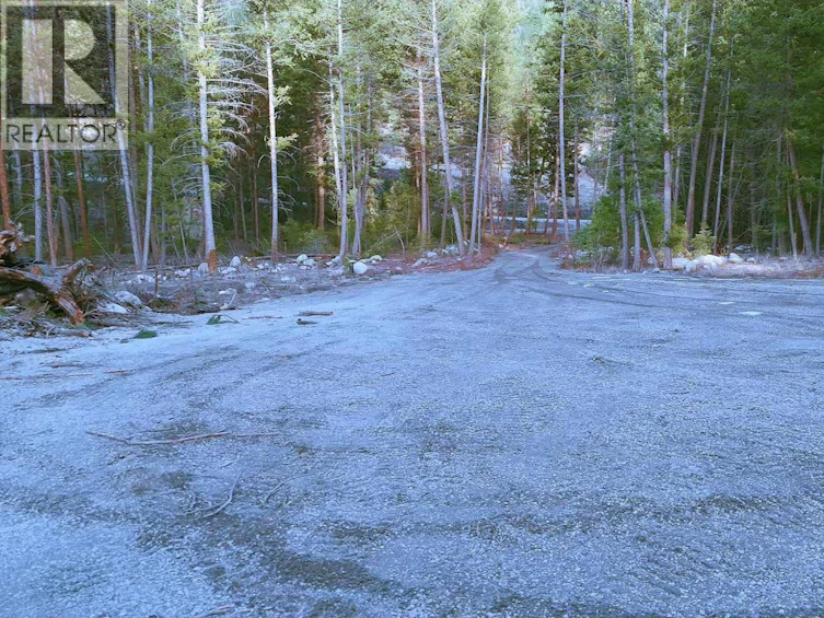 55 Beacon Road, Beaverdell, BC, V0H 1A0 - 14
