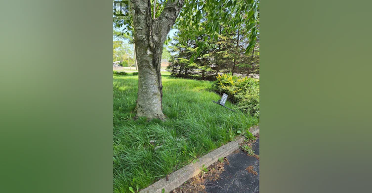 522 Woodlawn Road, Welland, ON, L3C 3K1 - 14