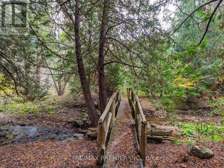 4904 10th Side Road, Essa, ON, L0L 2N0 - 29