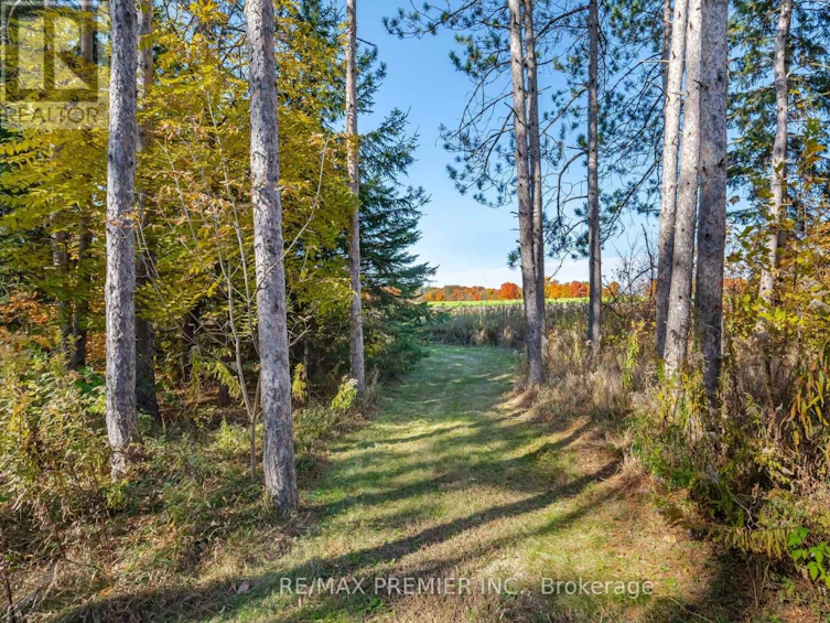 4904 10th Side Road, Essa, ON, L0L 2N0 - 31