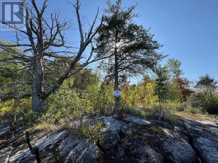 G-734 Rainy Lake, Thunder Bay, ON, P9A 3M3 - 21