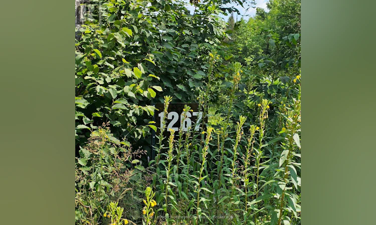 1267 Snake Creek Road