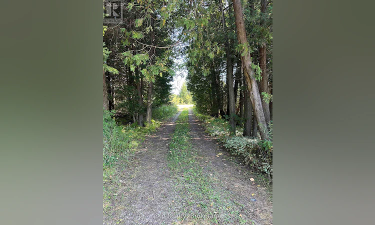 133272 Allan Park Road
