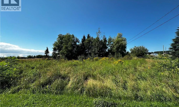 Vacant Lot Beausoleil Street