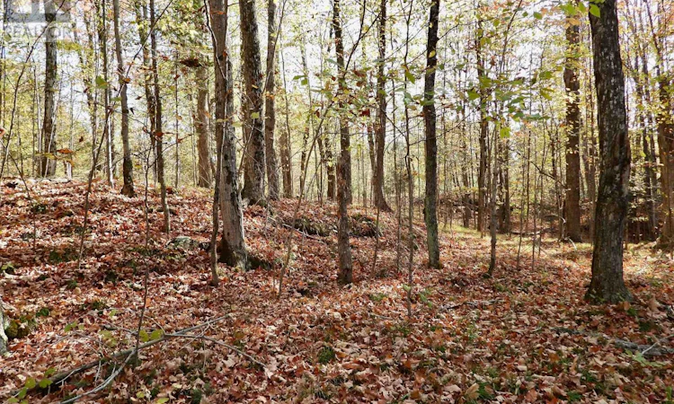 LOT-1 Woodland Park Drive