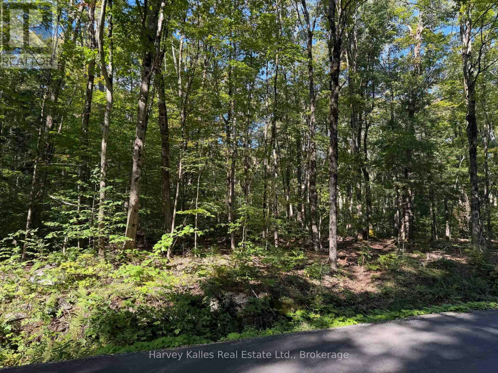 CON 1 PT LOT-12 Barlochan Road, Muskoka Lakes, ON, P1P 1R2