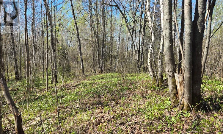 Lot-6 Con 3 Rabbit Trail Road