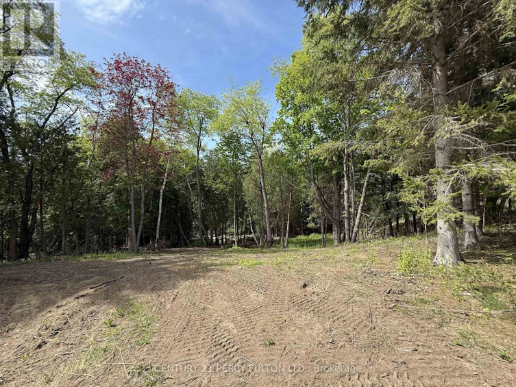 470 Lyndebrook Road, Whitby, ON, L1P 2A3 - 10