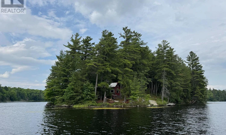 2 Wolf River