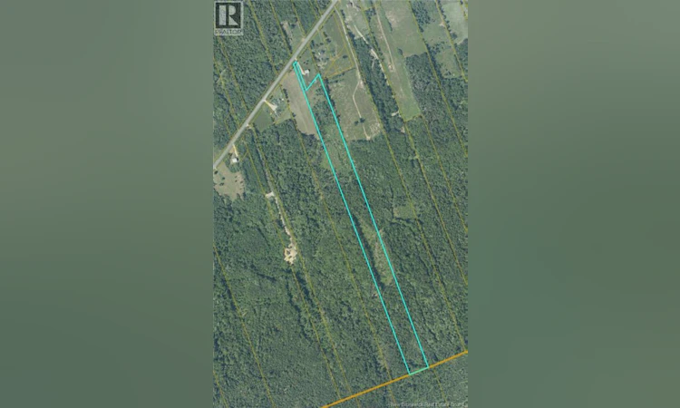 11-4 Acres Ch Pinet