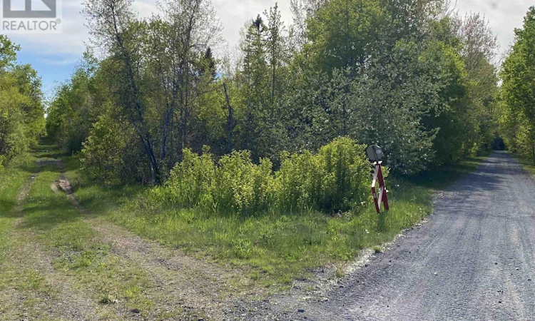LOT Siding Road
