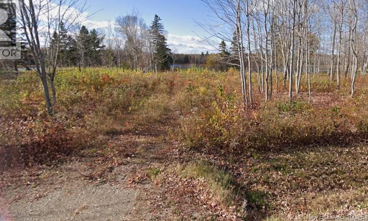 4062 Sqm R. Carrie