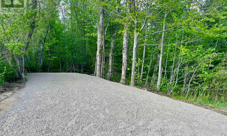 PT LT-9 Foymount Road