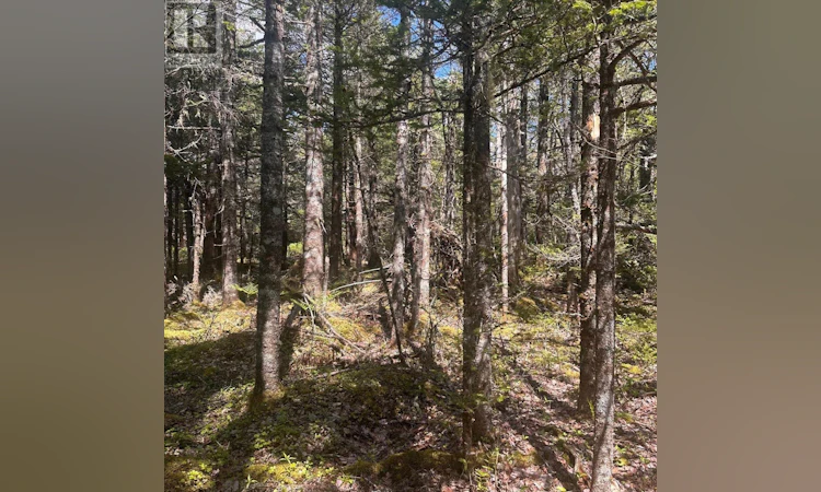 Lot-16 Somerset Drive