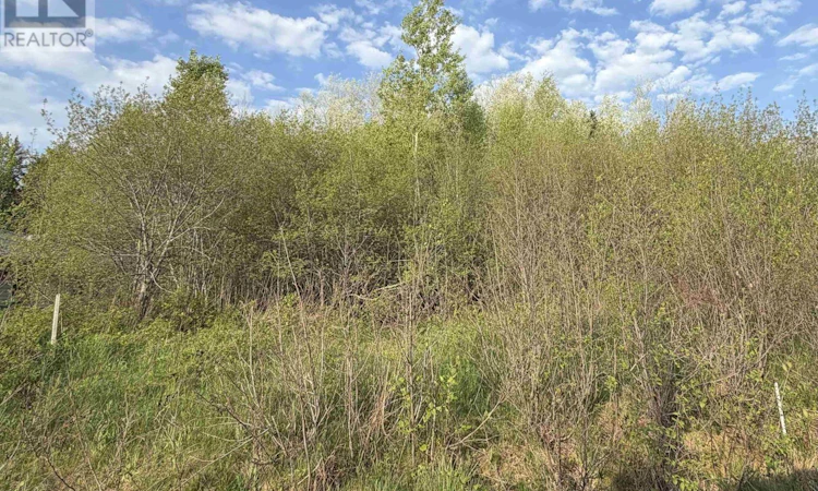 Lot-19 Belair Drive