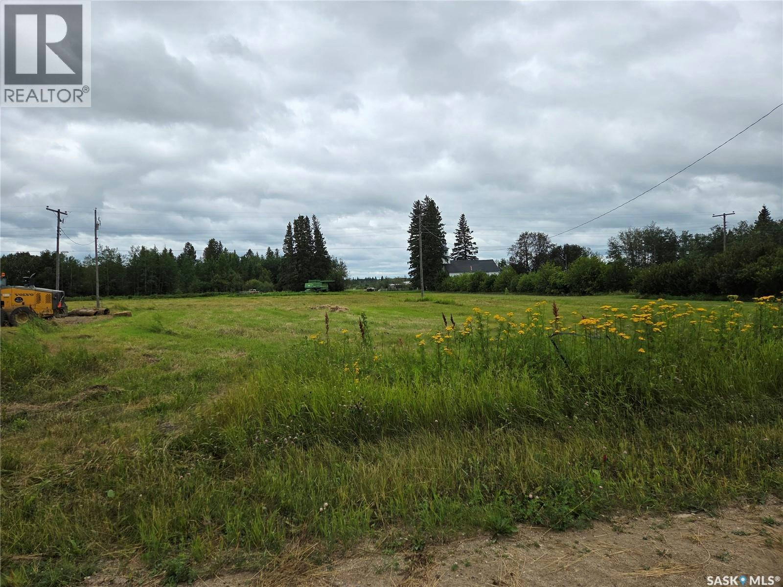 1 Railway Avenue, Barrier Valley Rm No. 397, SK, S0E 1S0