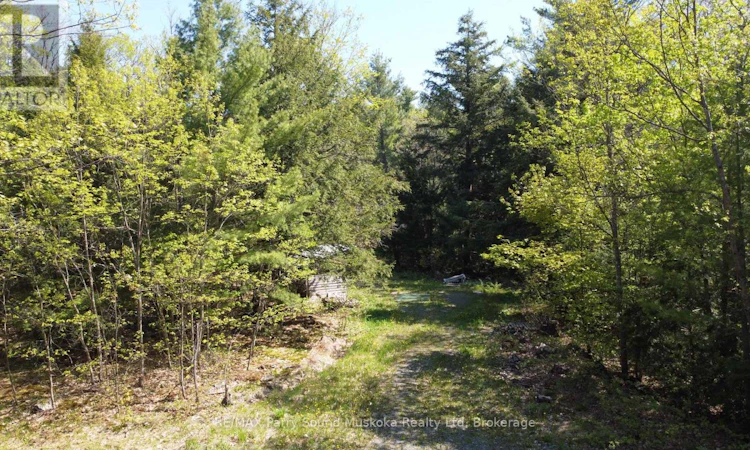 175 Sandy Plains Road NORTH