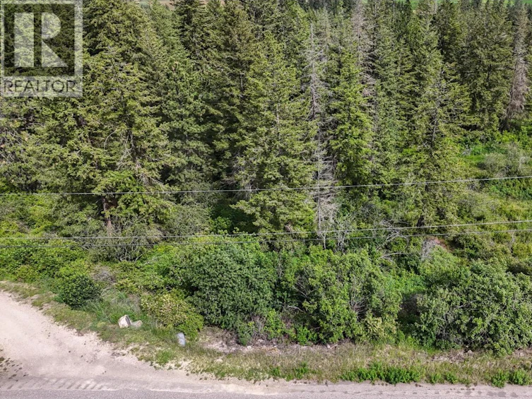 121 Twin Lakes Road, Enderby, BC, V0E 1V3 - 4