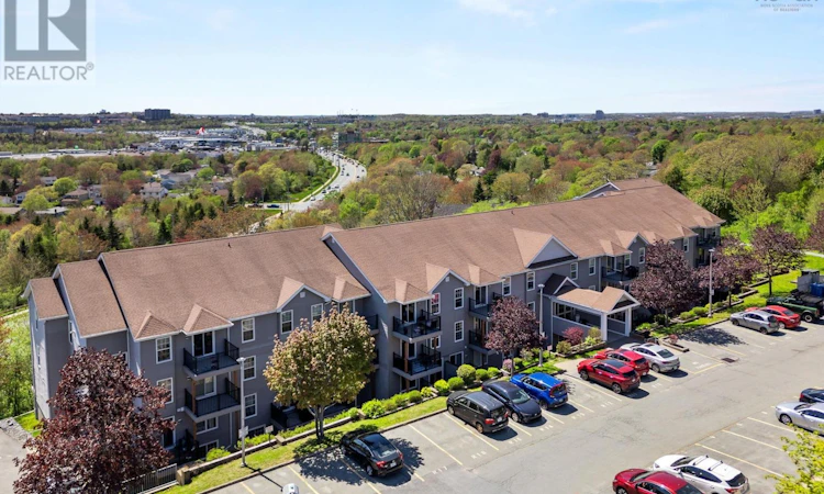 131-79 Collins Grove