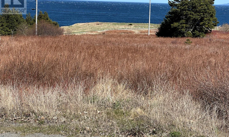 389 Conception Bay Highway