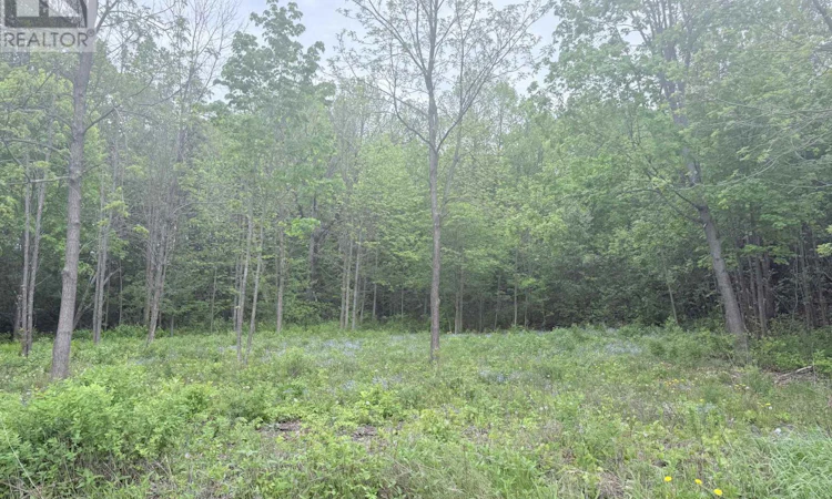 LOT-3 Mutual Avenue