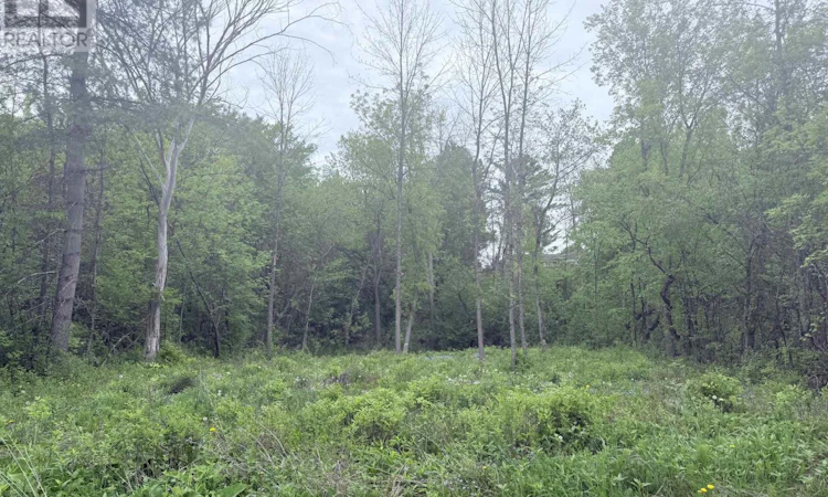 LOT-2 Mutual Avenue