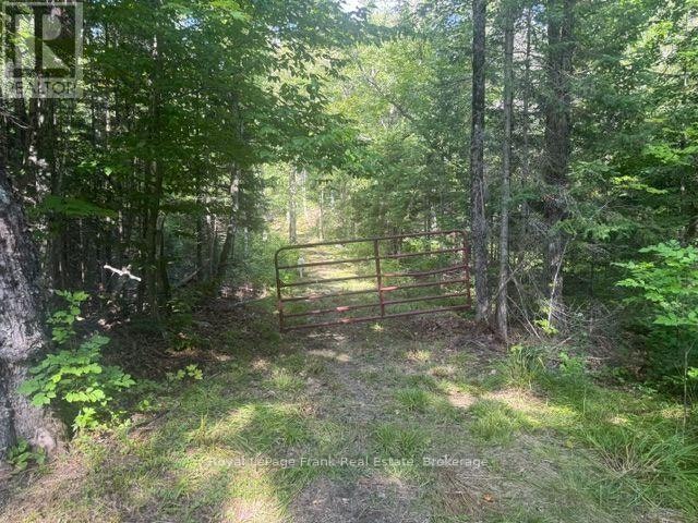 905-841 Mckenzie Lake Road NORTH, Whitney, ON, K0J 2M0