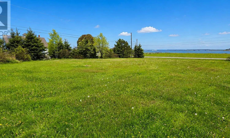 Lot Brandy Lane