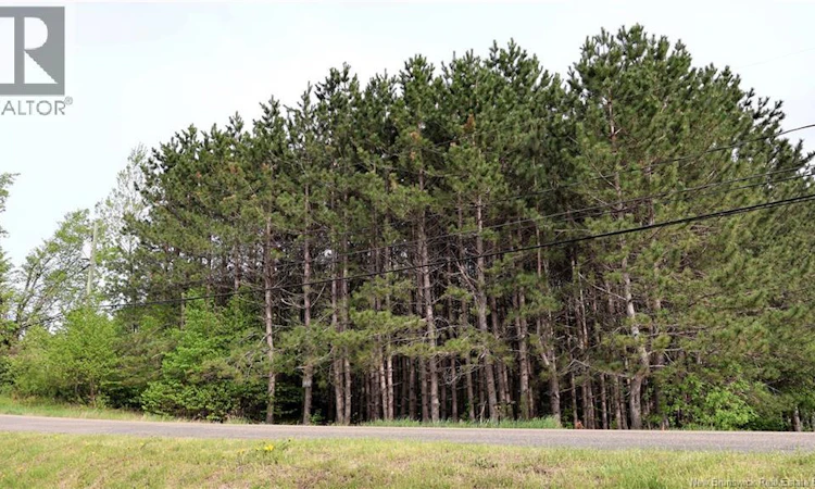 VACANT LOT 74-1A Cape Breton Rd Road