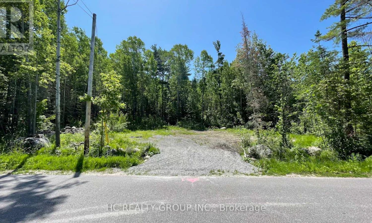 LT101 Silver Birch Drive