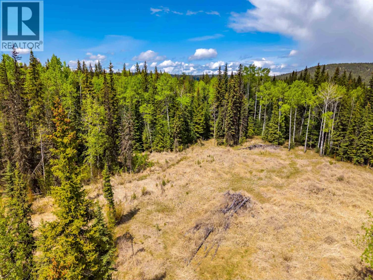LOT-11 Pegasus Road, Horse Lake, BC, V0K 2E3 - 11