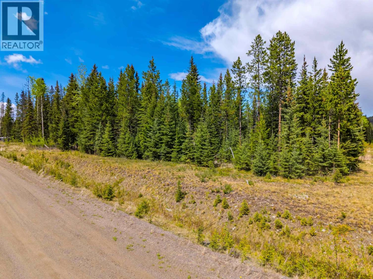 LOT-11 Pegasus Road, Horse Lake, BC, V0K 2E3 - 9