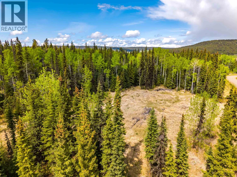 LOT-11 Pegasus Road, Horse Lake, BC, V0K 2E3 - 10