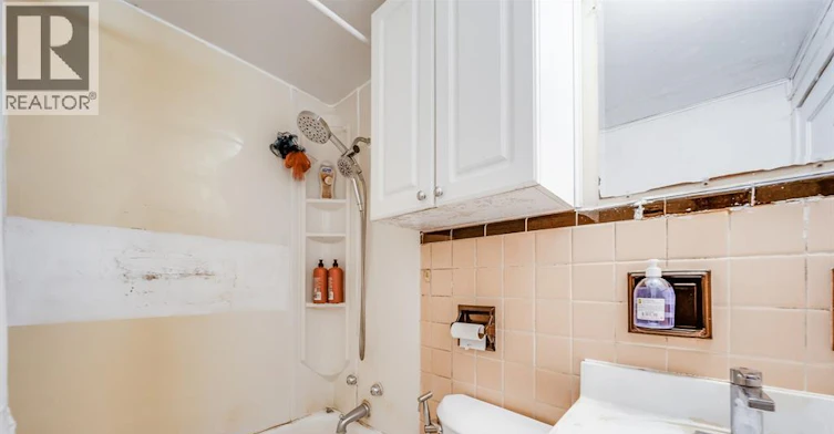 494 Rankin, Windsor, ON, N9B 2R7 - 17