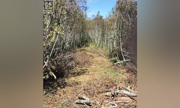 Lot-1 Lake Doucette Road