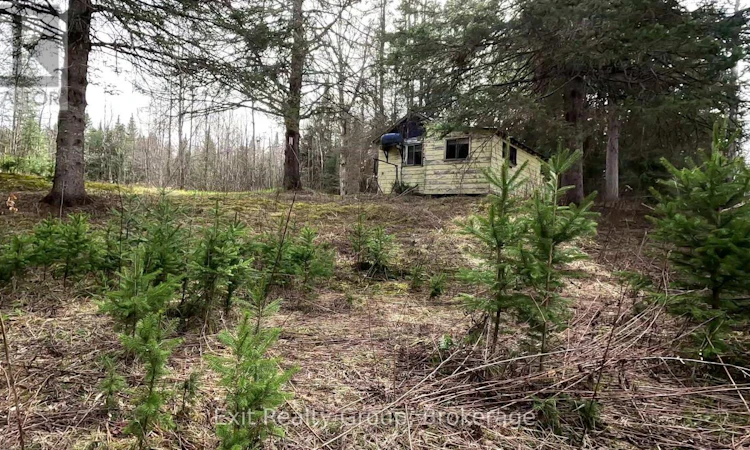 3606 County 620 Road