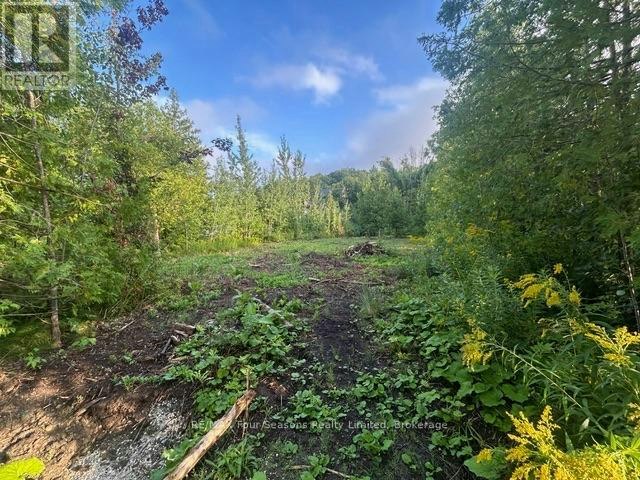 122 James Street, Blue Mountains, ON, L9Y 0T6