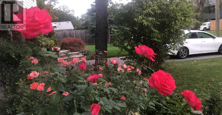26 Morpeth Road, Brampton, ON, L6W 2Z2 - 32